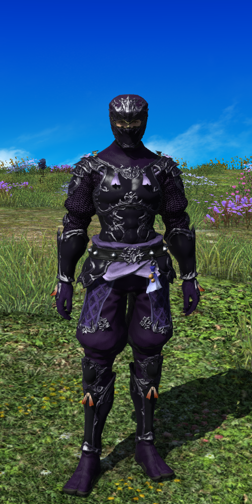 Ninja Set Eorzea Collection