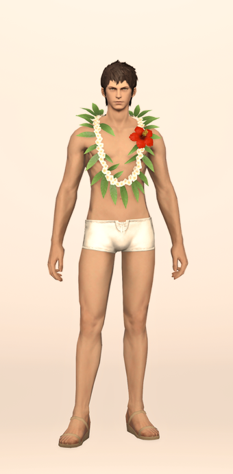 Ti Leaf Lei image