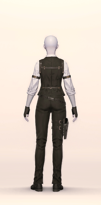 Bouncer's Holster image