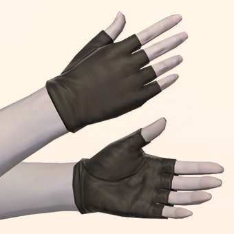 Bouncer's Holster image
