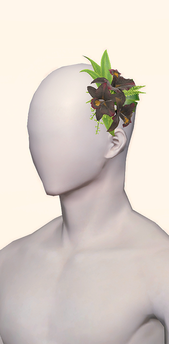 Black Cattleya Corsage image