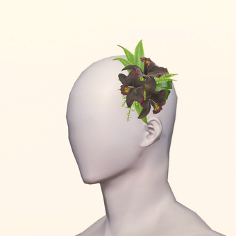 Black Cattleya Corsage image