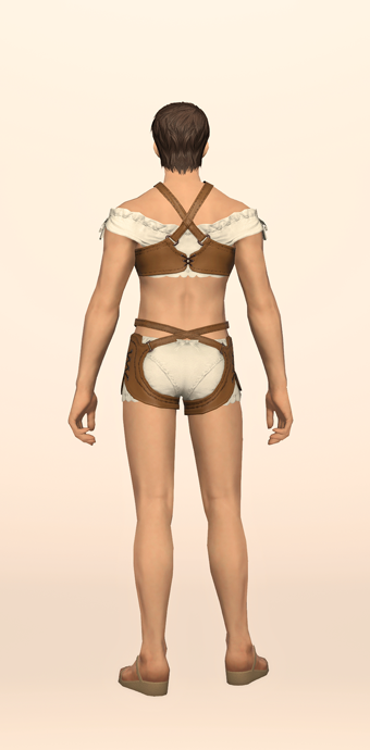 Gryphonskin Breastguard & Pantalettes image