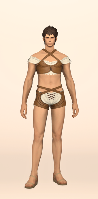 Gryphonskin Breastguard & Pantalettes image