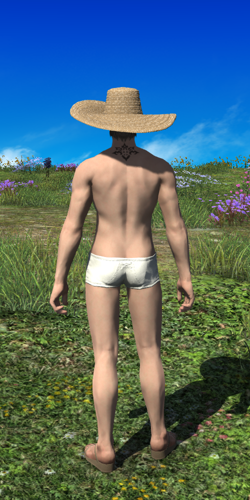 Straw Capeline Set Eorzea Collection