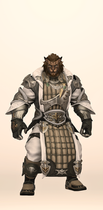 Chimerical Aiming Set | Eorzea Collection