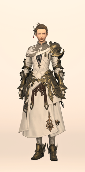 Tigerskin Fending Set | Eorzea Collection