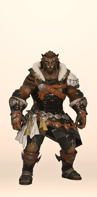 Zonureskin Fending Set | Eorzea Collection