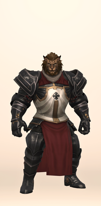 Heavy Metal Fending Set | Eorzea Collection