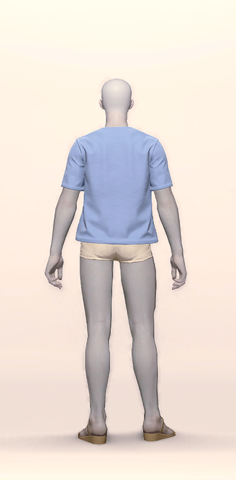 Chocobo Neotunic image