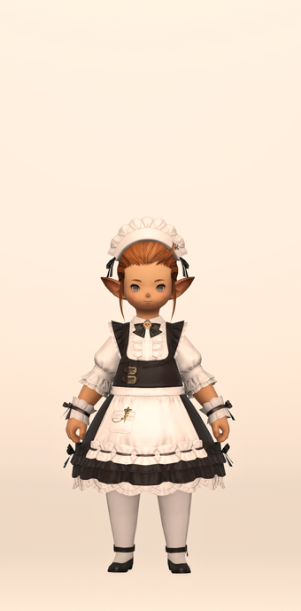 Loyal Housemaid's Set | Eorzea Collection