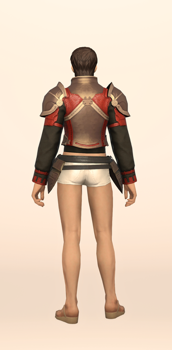 Custom-made Cuirass image