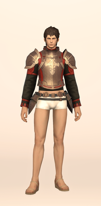 Custom-made Cuirass image
