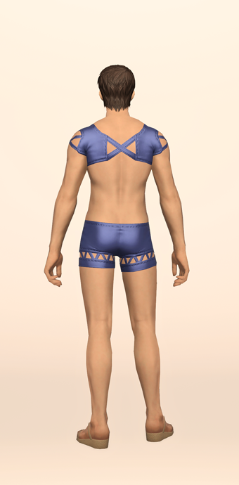 Blue Summer Top & Trunks image