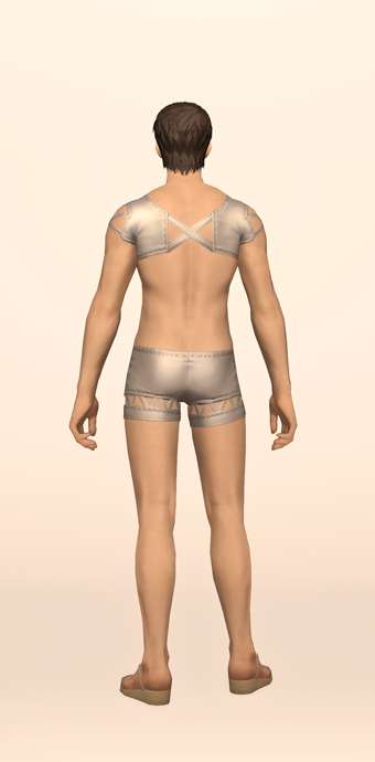 Lunar Summer Top & Trunks image