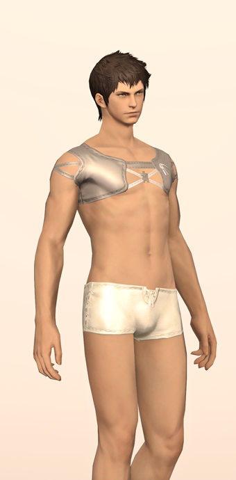 Lunar Summer Top & Trunks image