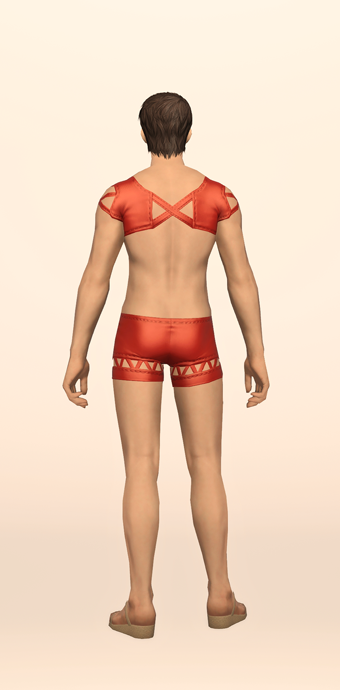 Red Summer Top & Trunks image