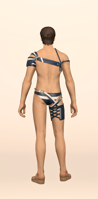 Striped Summer Top & Trunks image