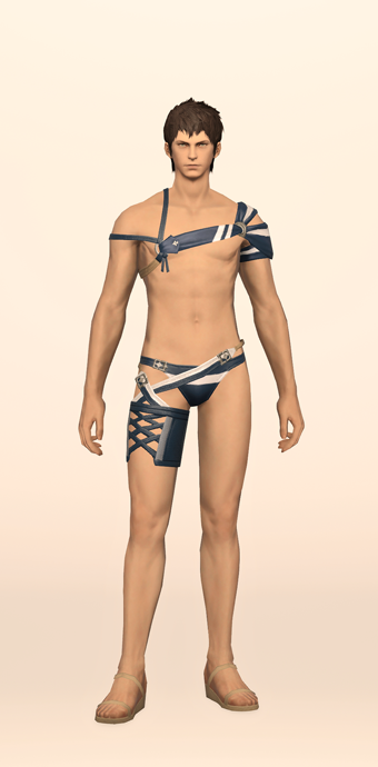 Striped Summer Top & Trunks image