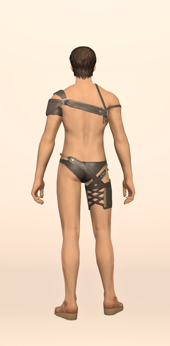 Summer Evening Top & Trunks image